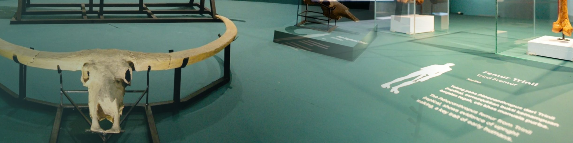 MUSEUM Bantimurung>